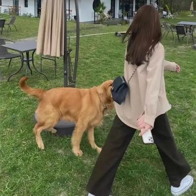 思维游戏